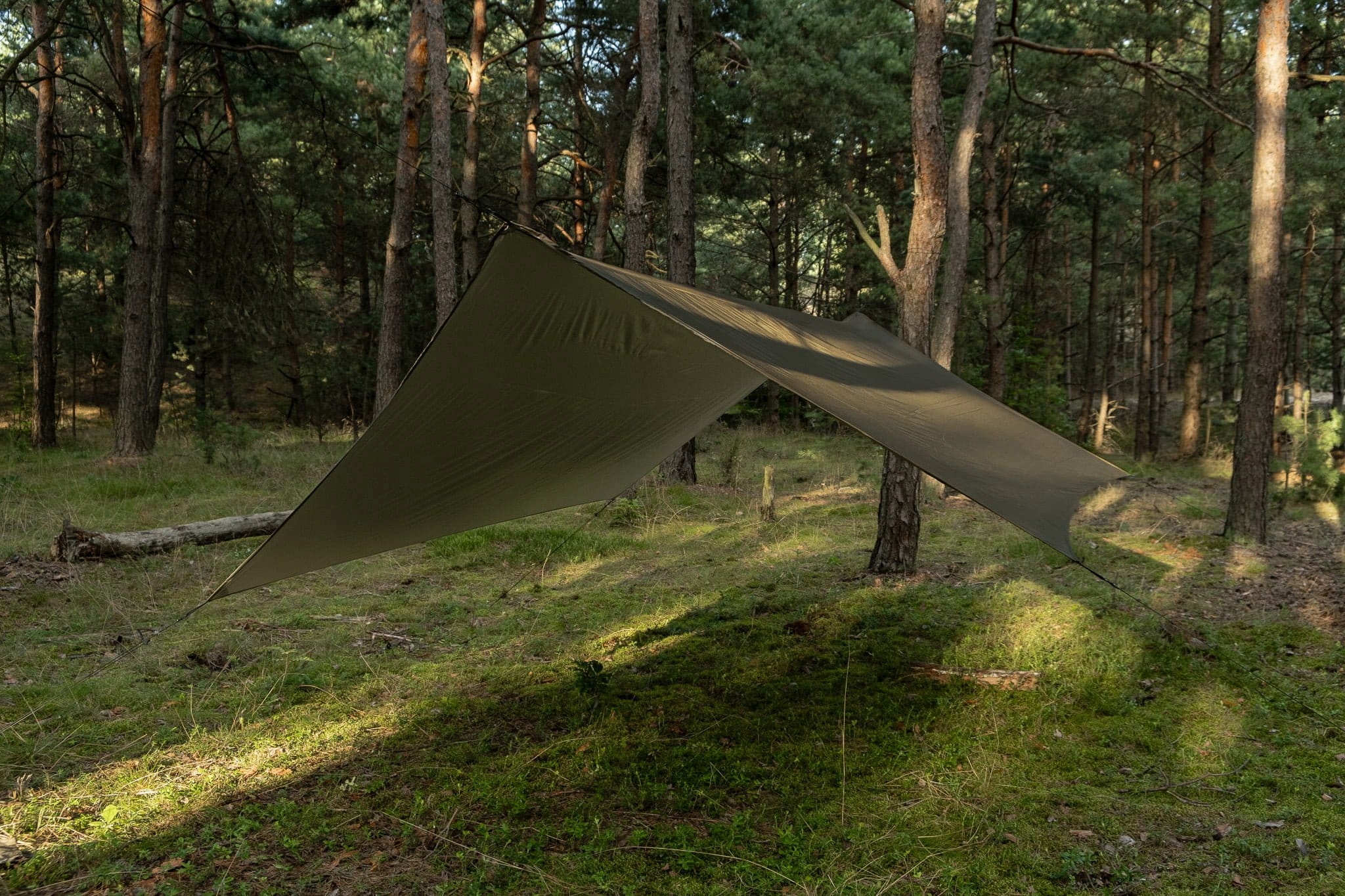 Termo Tarp StingRay 3,6 x 2,8 Olive