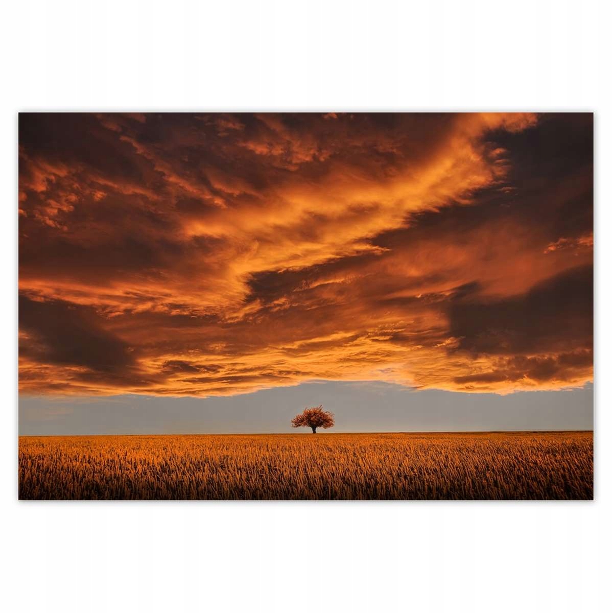 Plakáty 200x135 Oranžové nebe