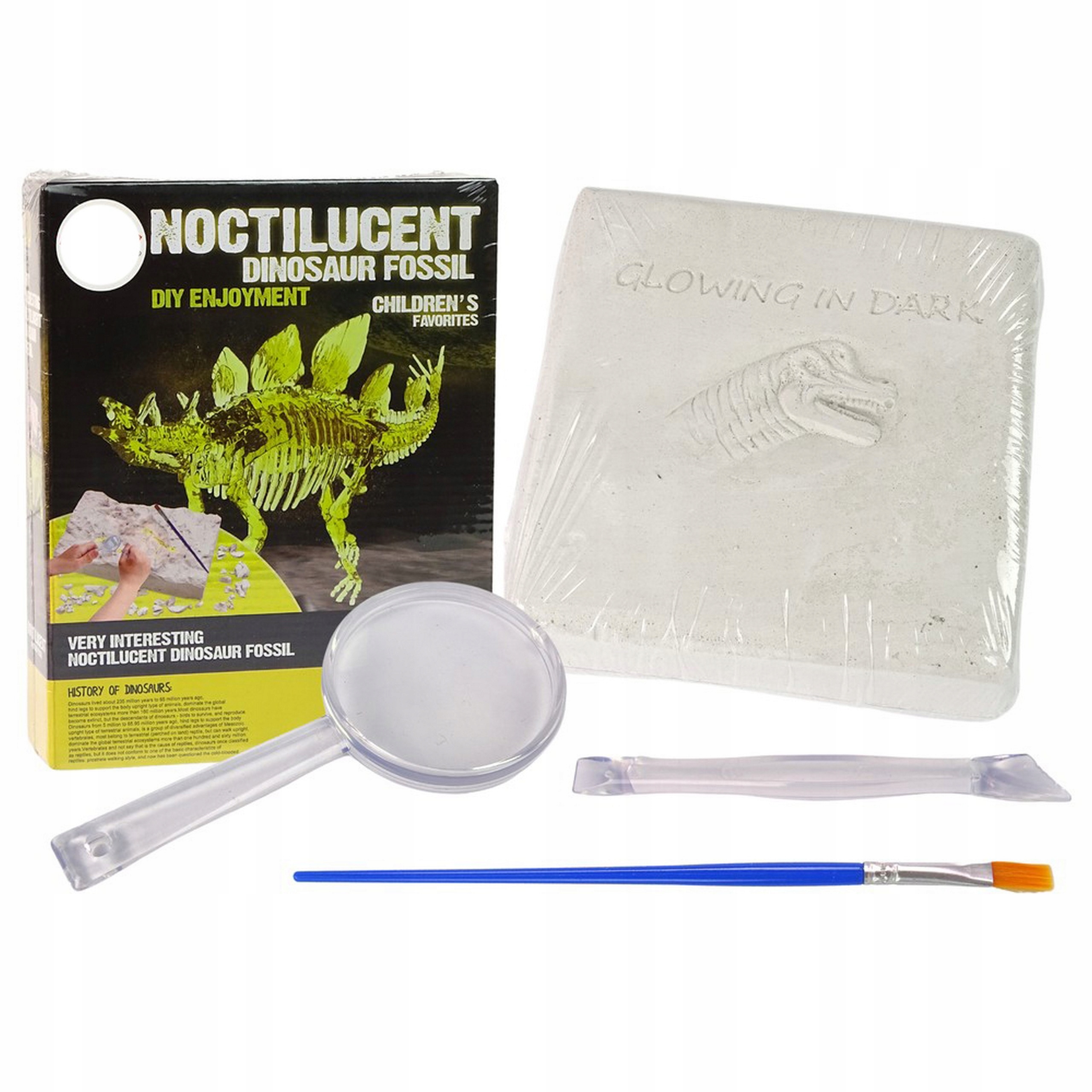 

Zestaw Archeologiczny Wykopaliska Dinozaur Szkiele