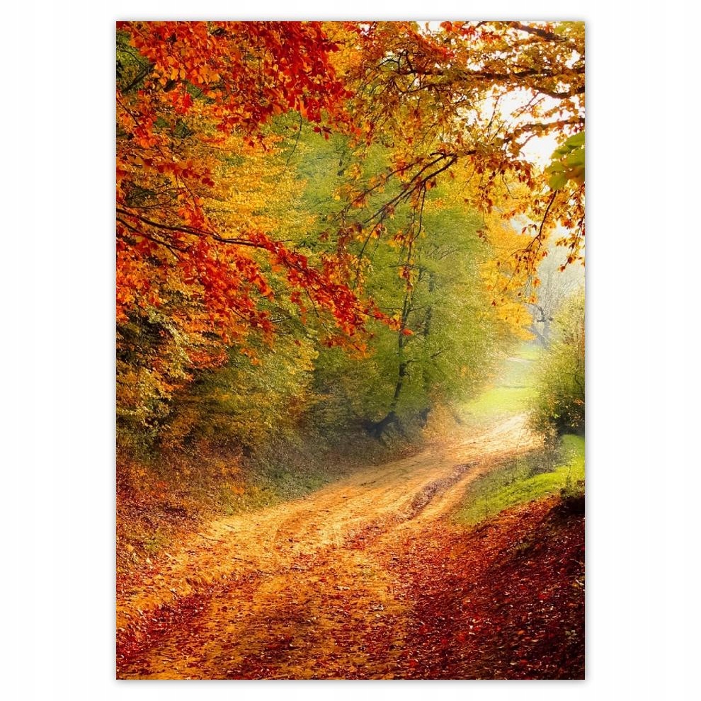 

Plakaty 50x70 Jeleń w lesie