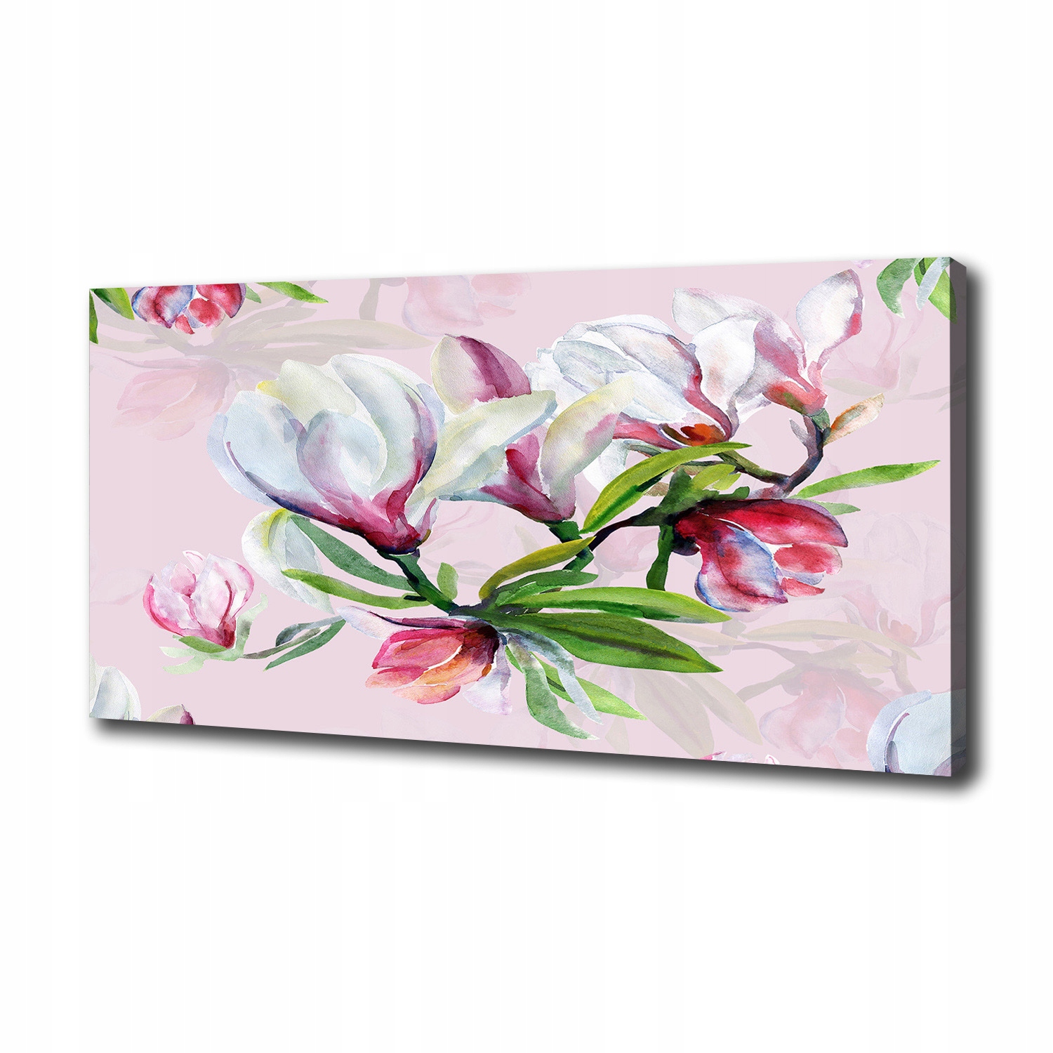 

Foto obraz na płótnie Kwiaty magnolii 100x50 cm