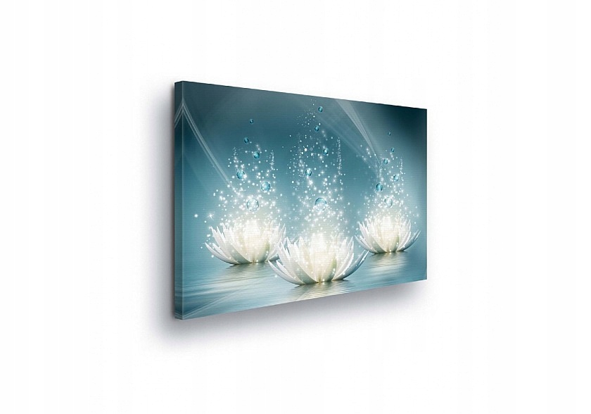 Obraz 100x75 Lotos voda klid harmonie světlo čistota abstrakce zen