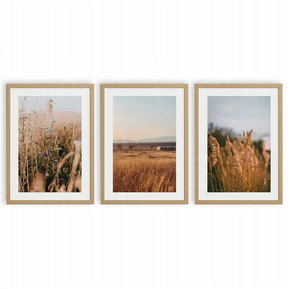 

Plakat Duży A4 Obraz Boho Trawy Na Ścianę 3X