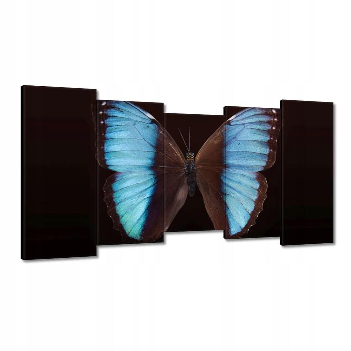 Obrazy 150x80 Modrý motýl