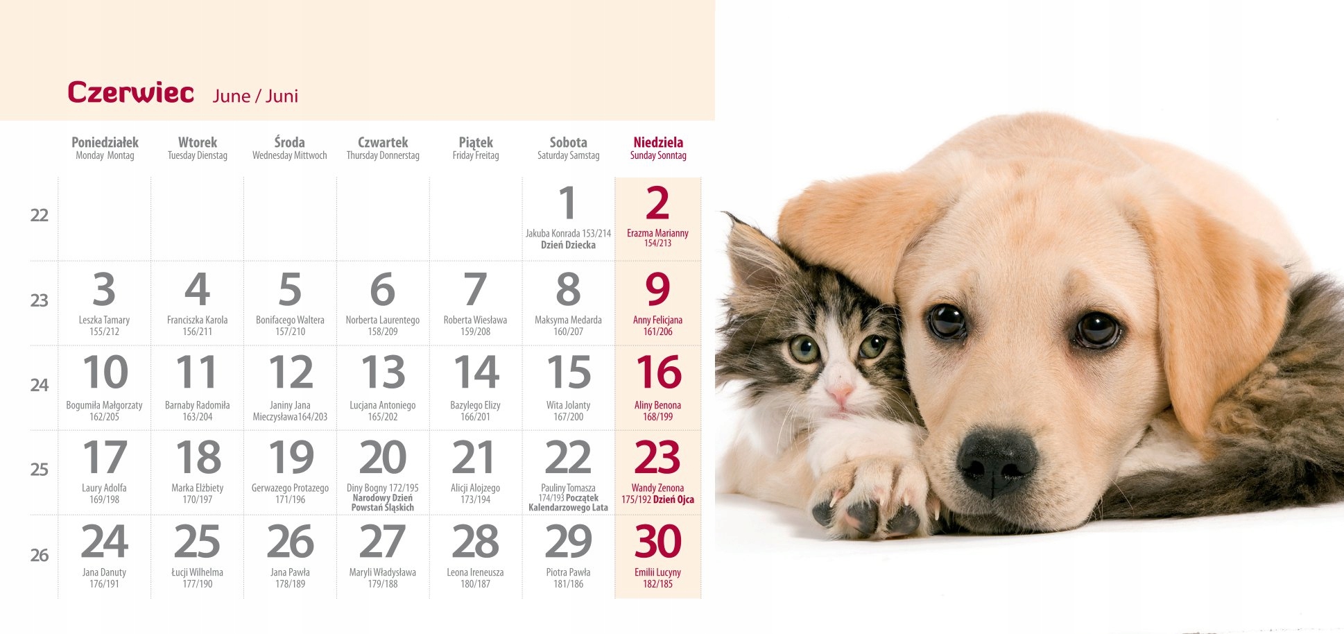 Kalendarz 2024 biurkowy stojący FOTO 24 x11cm PRZYJACIELE Tematyka zwierzęta