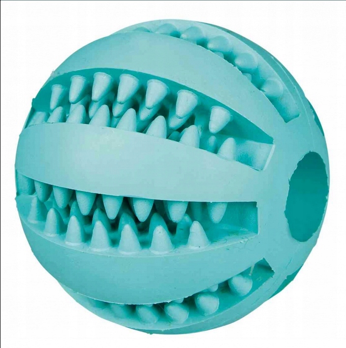 

Denta Fun Piłka mięta 6.5cm Trixie 3289 dla psa