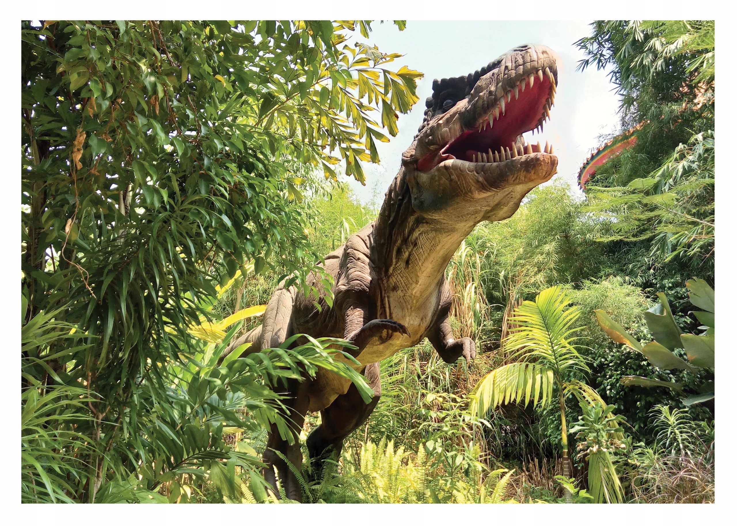 Fototapeta Dinosaury Pre Deti Chlapca Tapeta S Dinosaurami 416x254