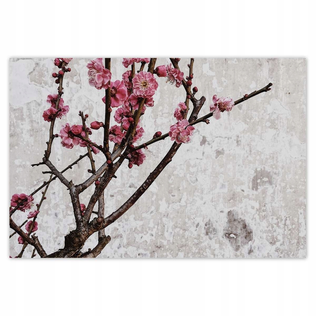 Plakáty 200x135 Květiny Květiny