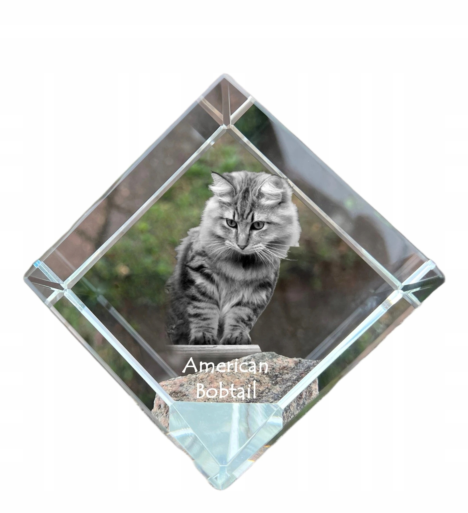 Americký Bobtail krištáľová kocka s fotografiou mačky do ordinácie
