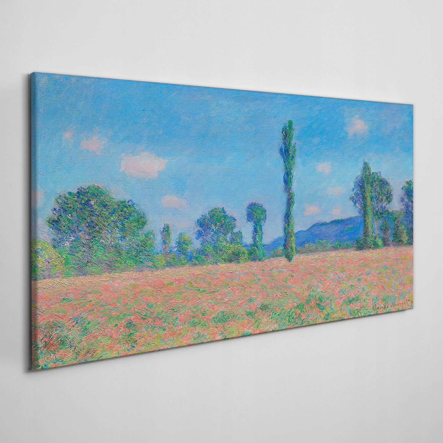

Obraz na płótnie Łąki krajobraz Monet 100x50 cm