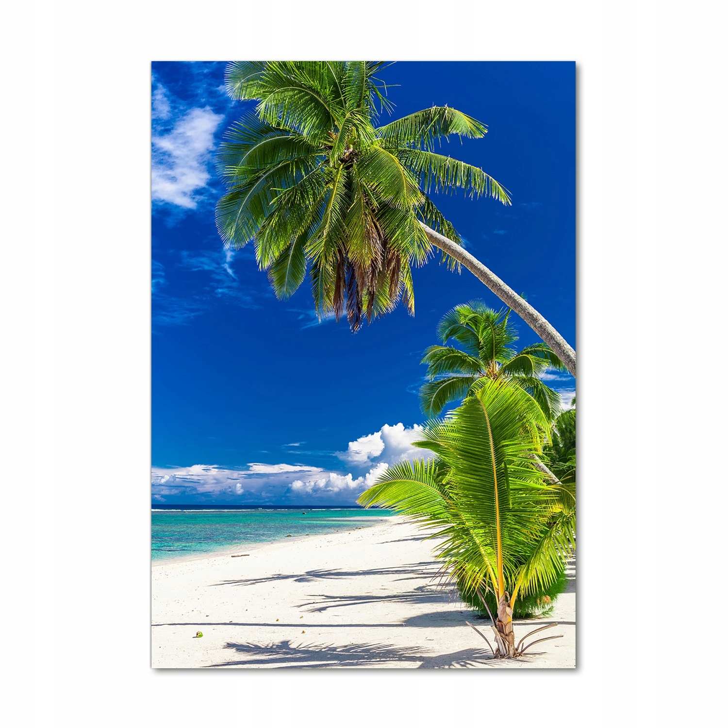 

Foto obraz szklany pionowy Tropikalna plaża 70x100