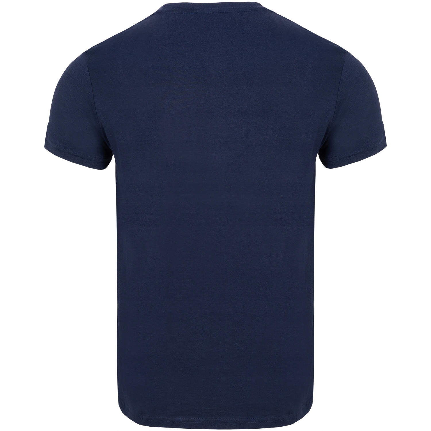 KOSZULKA MĘSKA T-SHIRT SPORTOWA BASIC BLUZKA 4XL Model FMT01