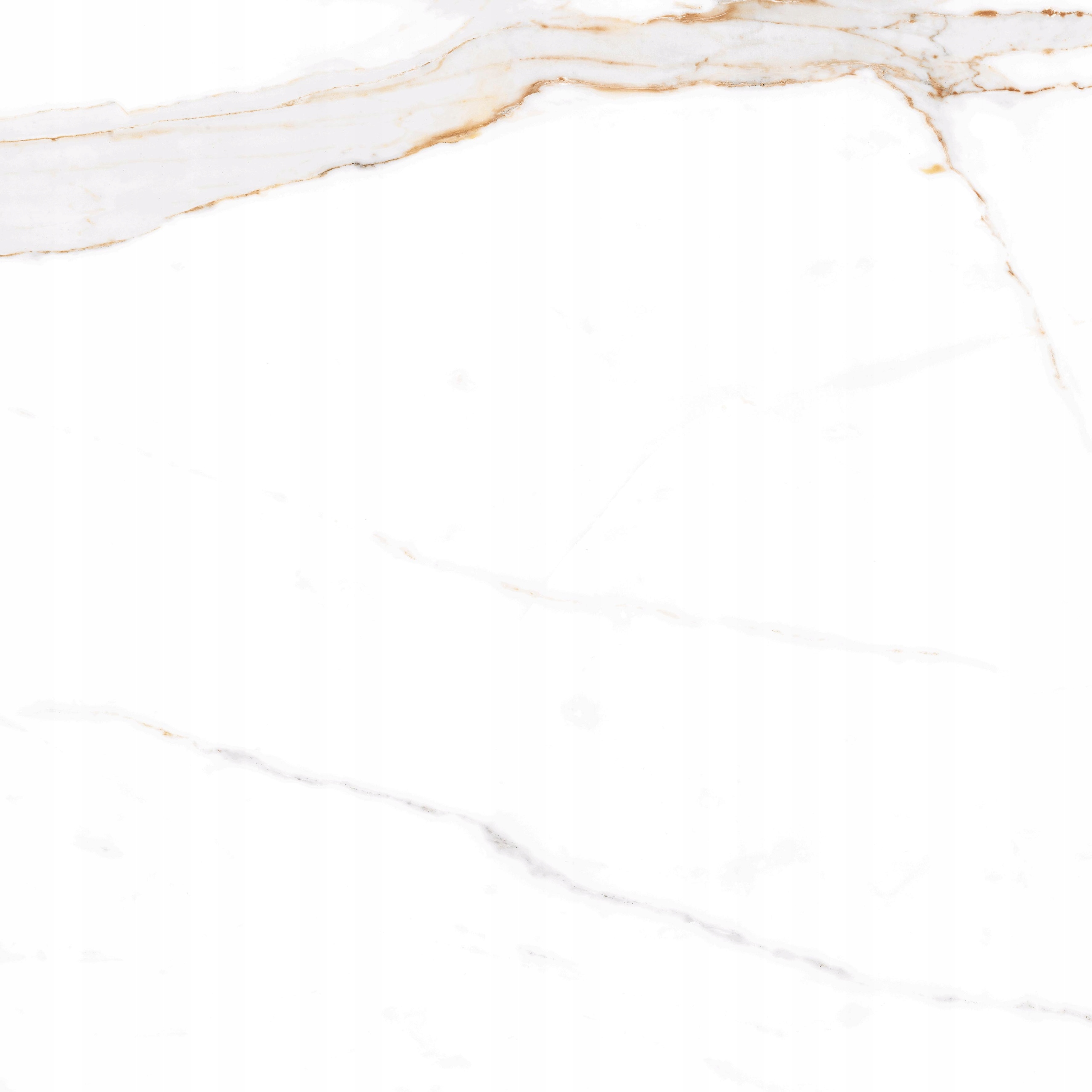 PŁYTKI GRESOWE ŁAZIENKOWE PODŁOGOWE BIAŁY MARMUR VERONA GOLD 60x60 SUGAR Marka EGEN