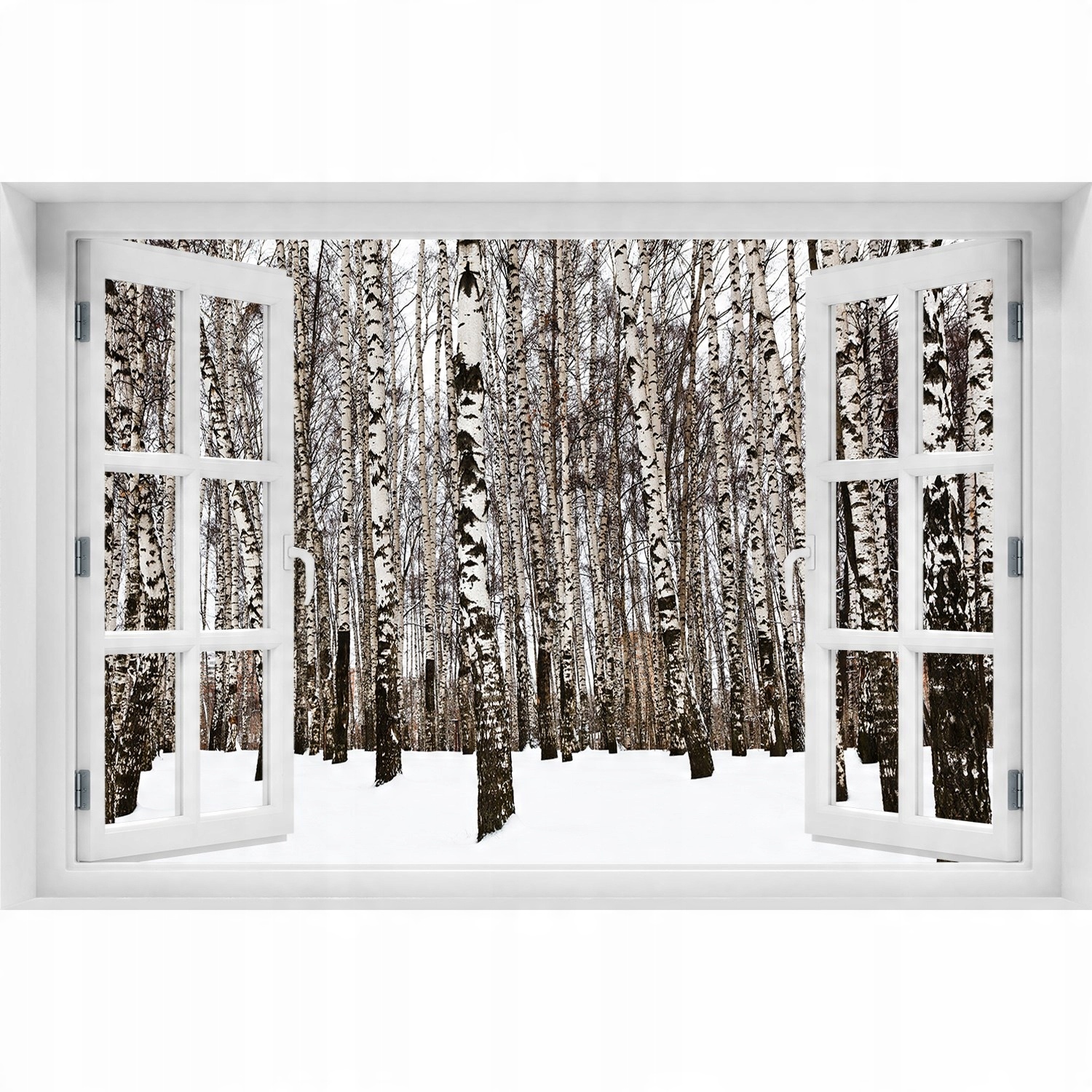 

Naklejka Fototapeta Okno widok Brzozy zimą 90x60