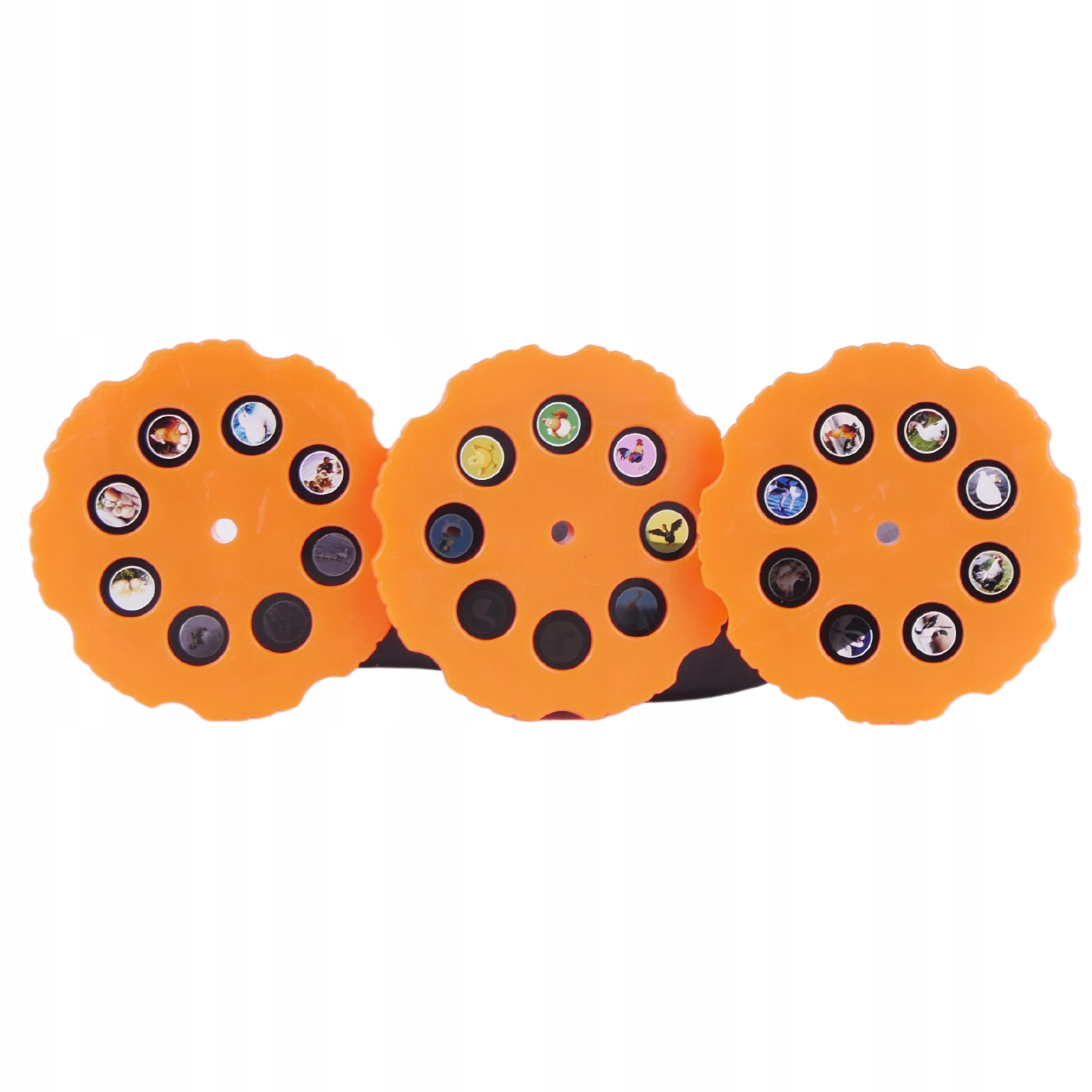 Projektor Rzutnik Wielofunkcyjny Różne Obrazki Efekty Slajdy Farma Wzory Płeć unisex