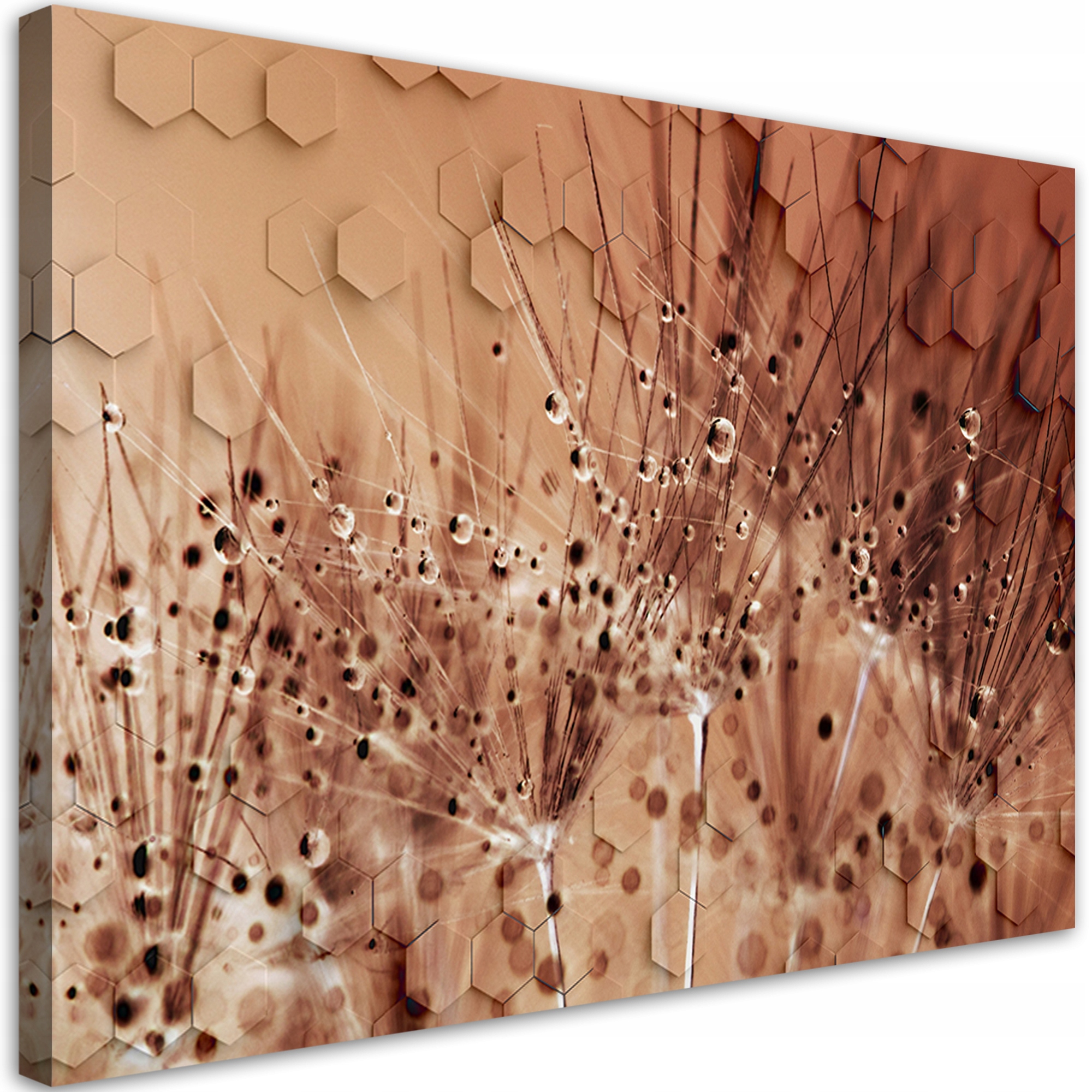 Obraz na plátne, Púpava v kvapkách rosy 120x80