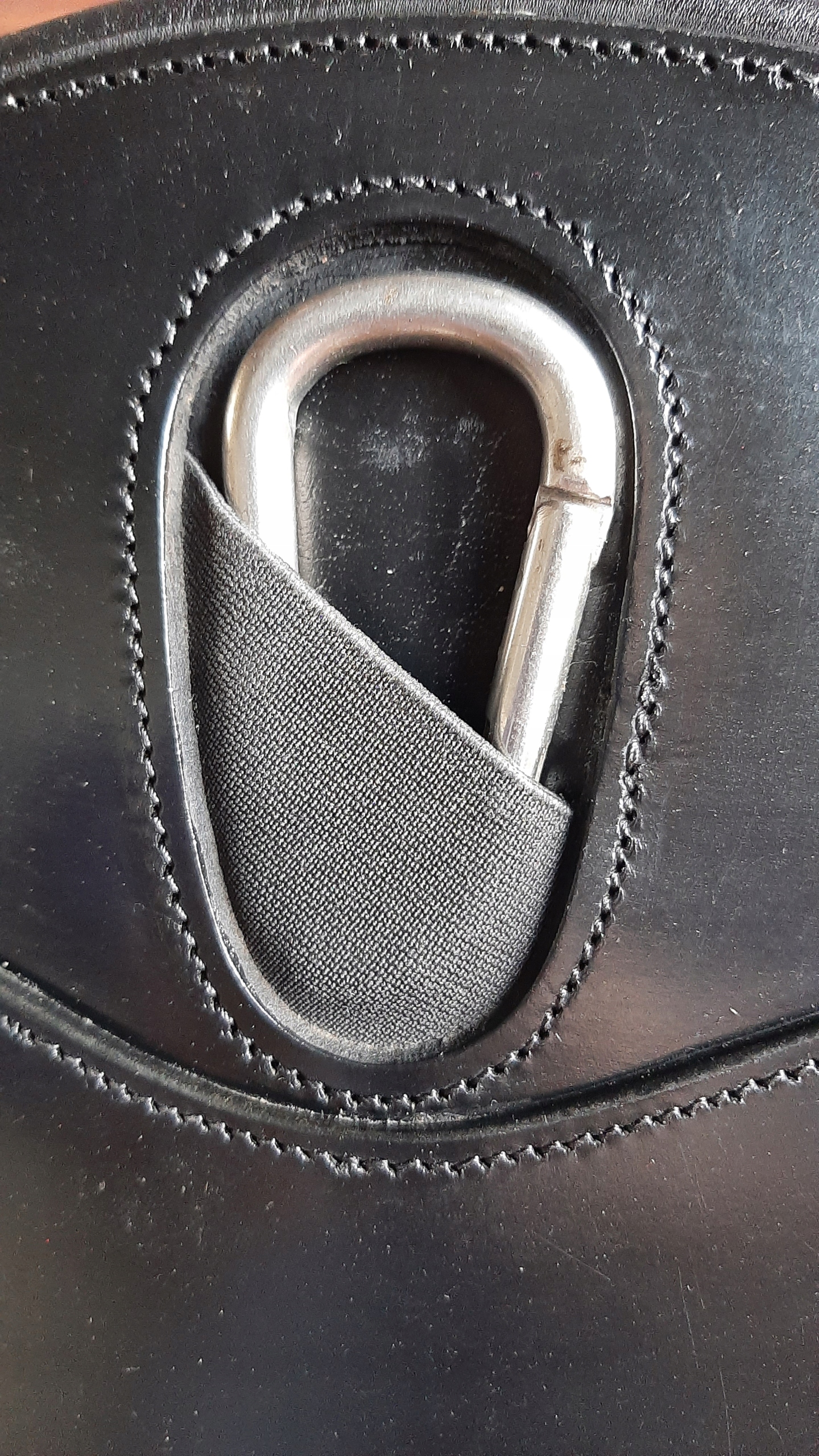 Skórzany popręg z fartuchem Lucca Busse czarny 120cm Rodzaj skokowe