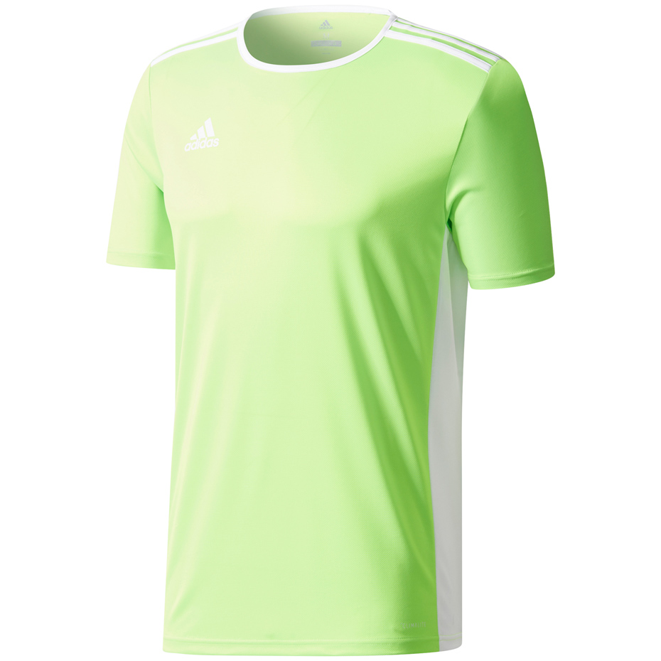 Koszulka dla dzieci adidas Entrada 18 Jersey Junior CE9755 116