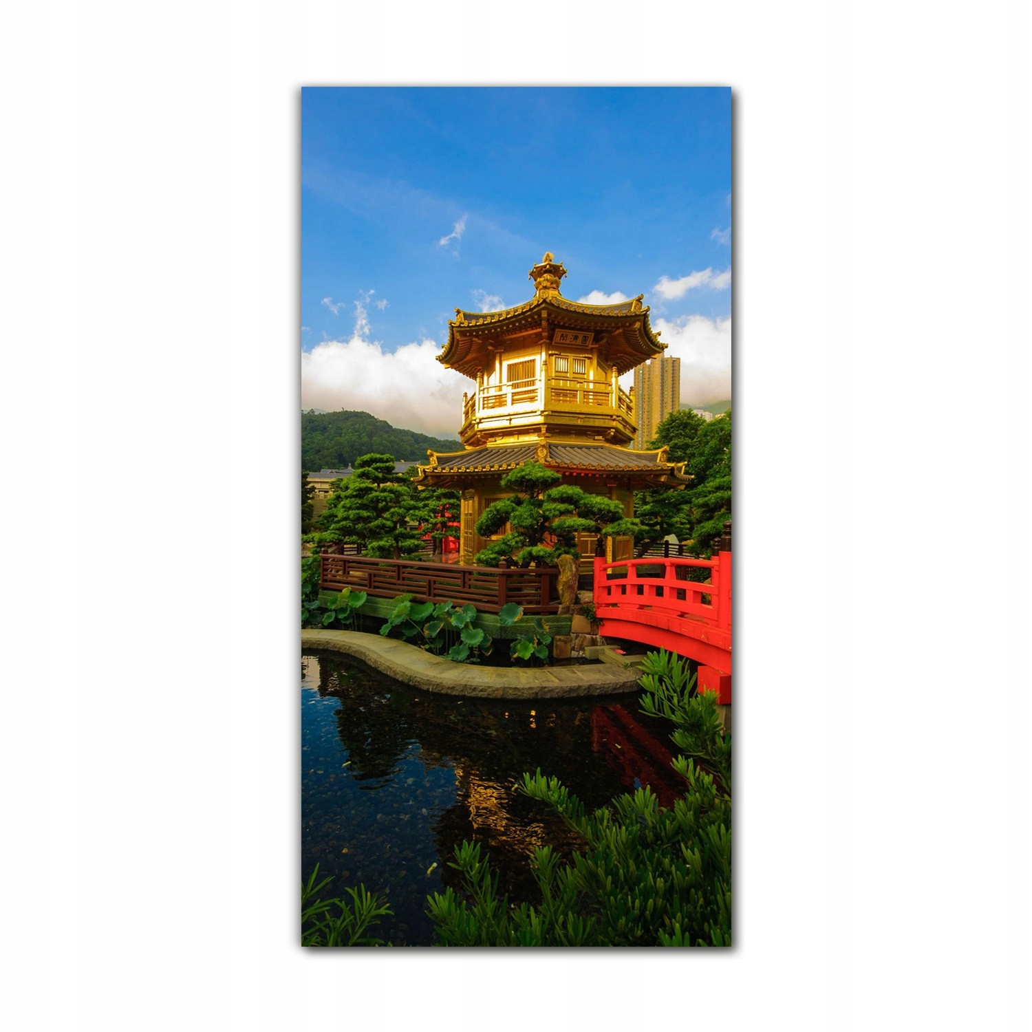 

Foto-obraz na szkle na ścianę 70x140 Ogród Chiny