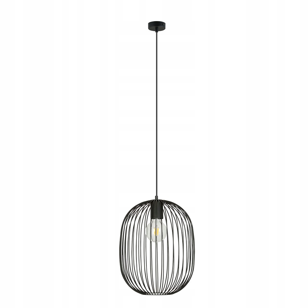 Černá závěsná lampa s loftovým drátěným stínítkem Emibig Onyx 1