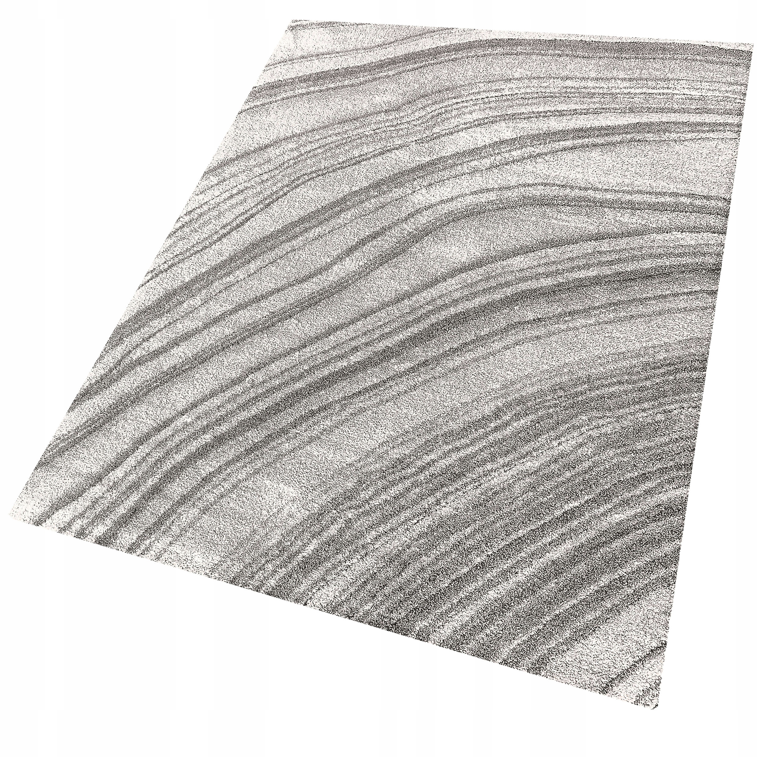 Dywan Cosy Harmony Shaggy Plusz 160x230 02 szary