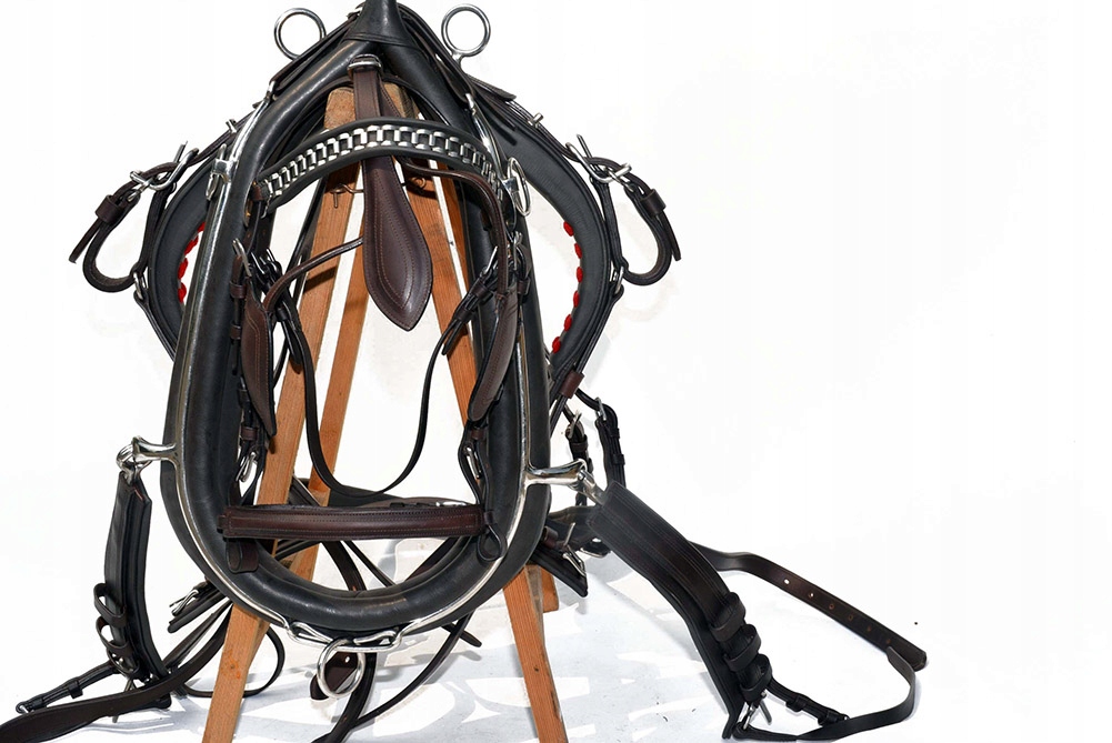 Anglický Singlový Postroj Roz. full