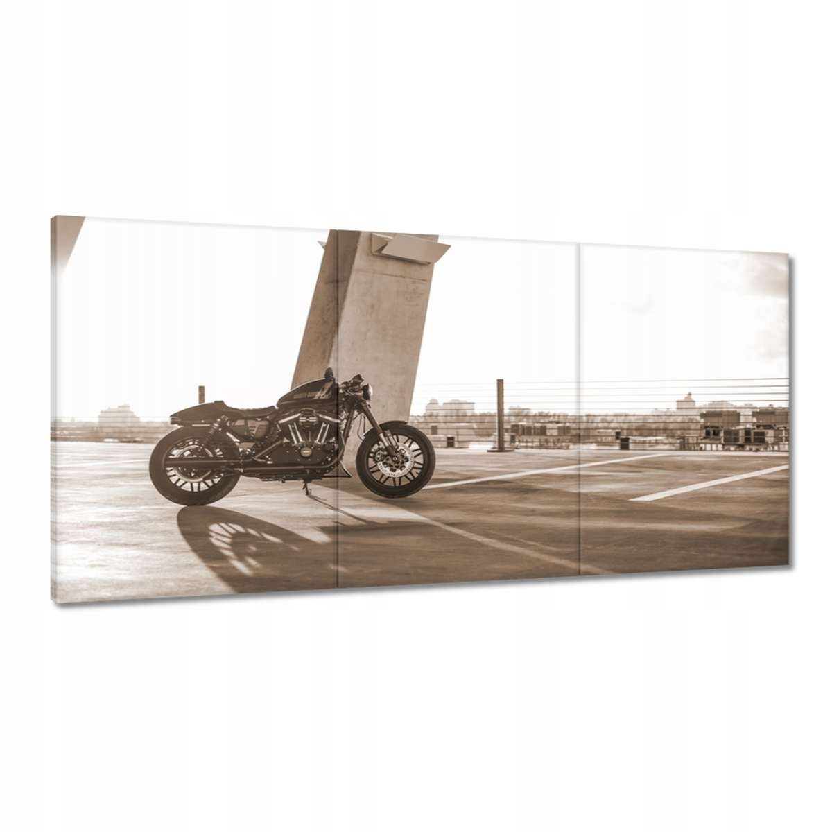 Obrazy 180x90 Harley Davidson Motocykel