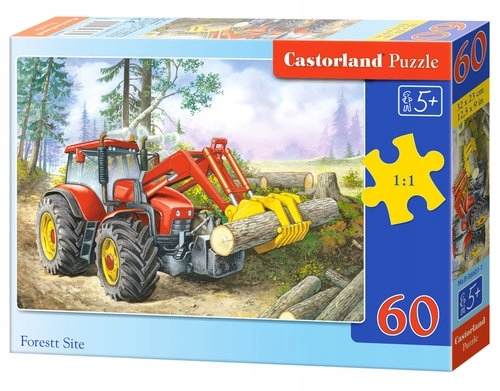 

Puzzle 60: Forest Site (06601)