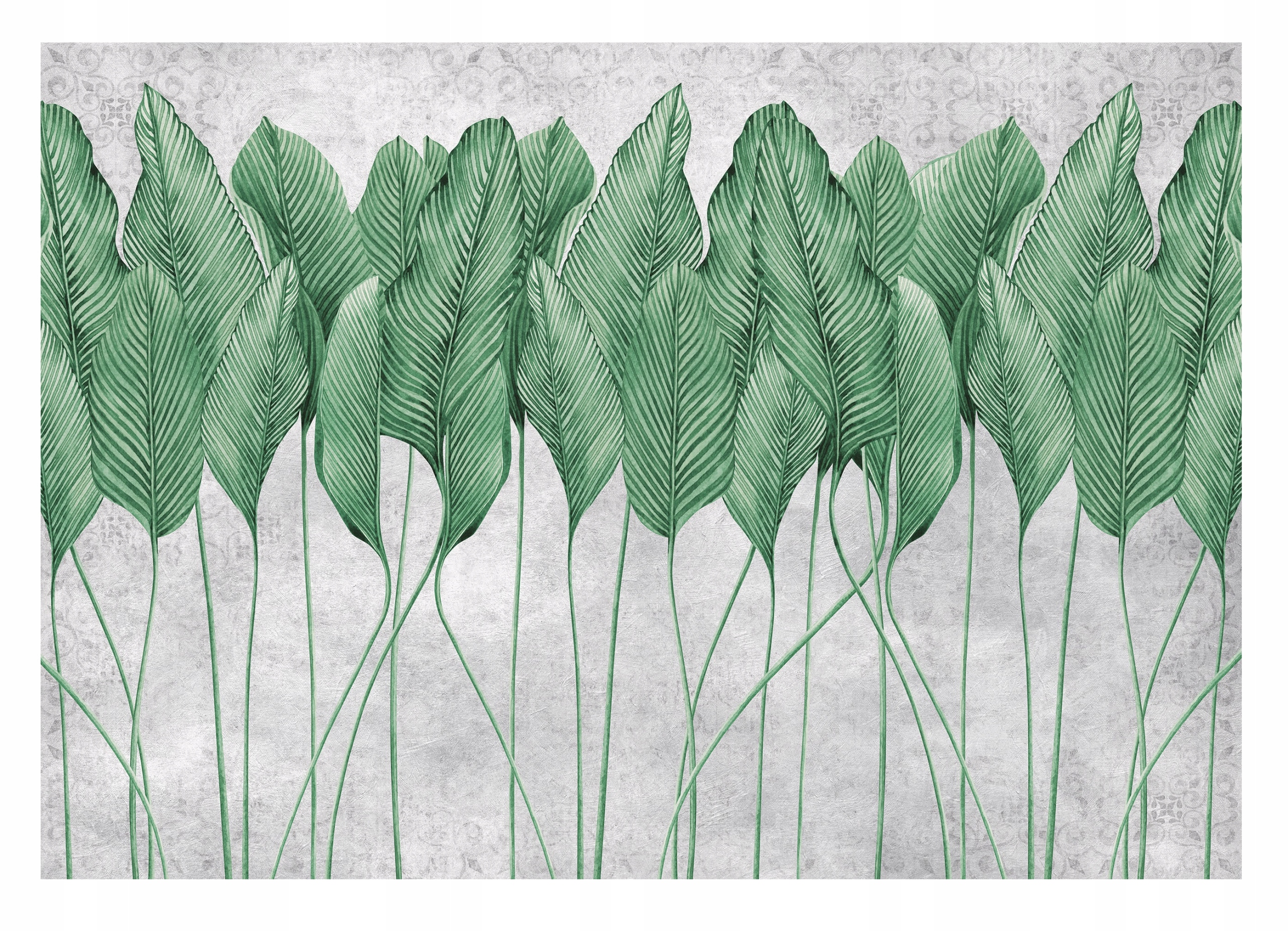 Fototapeta Perie Listy 3D Betón Spálňa 312x219