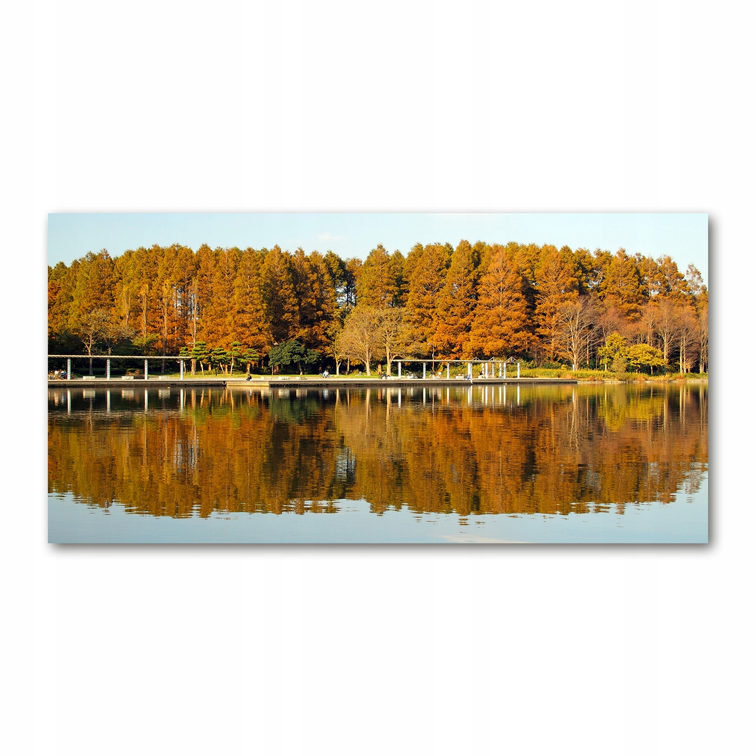 

Foto obraz szkło akryl Las nad jeziorem 120X60 cm