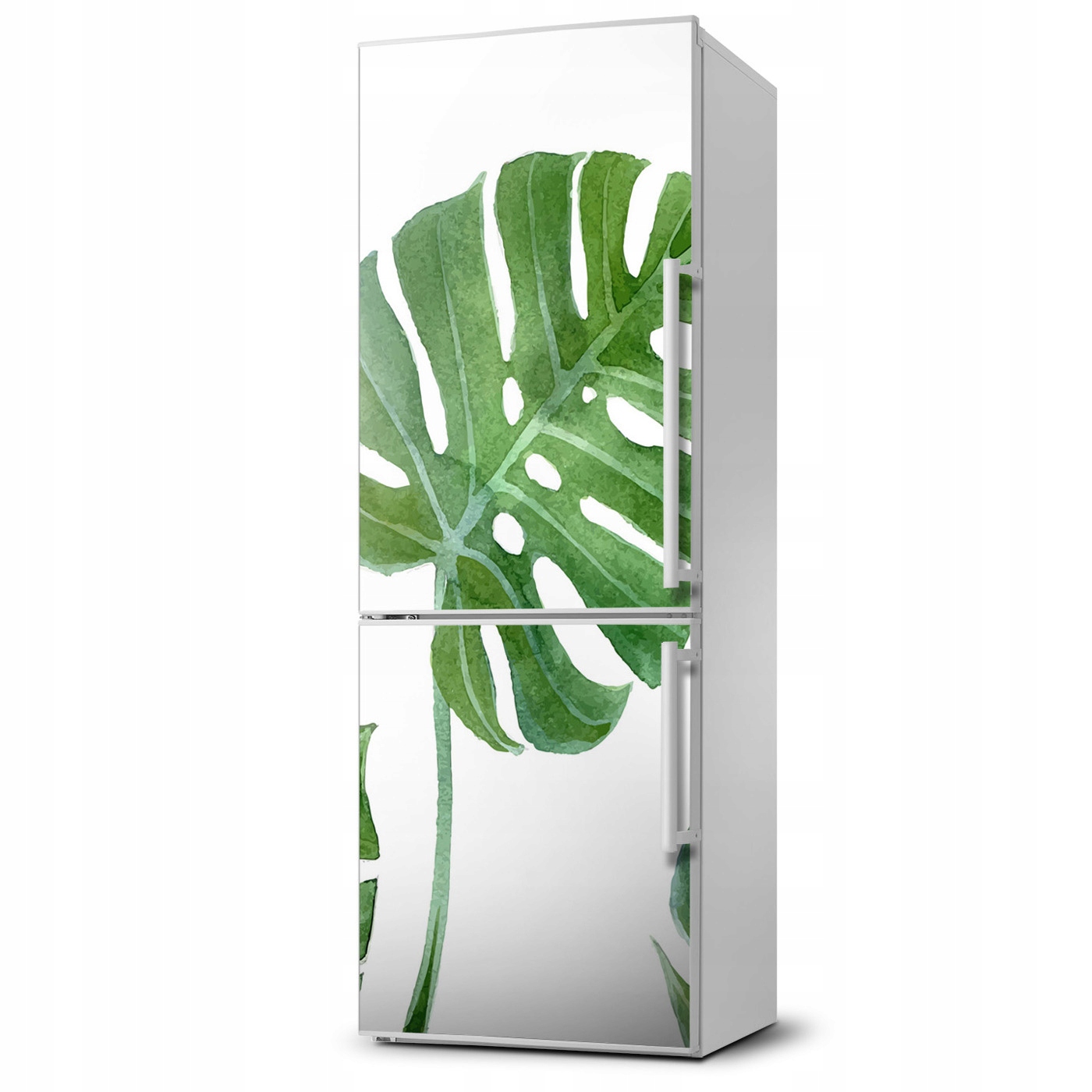 

Magnes fototapety na lodówkę Monstera 60x180
