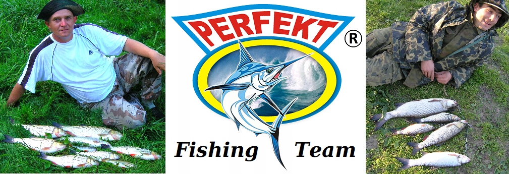 BŁYSTKA PERFEKT KASTMASTER 16 gr SILVER / GREEN Marka Perfekt