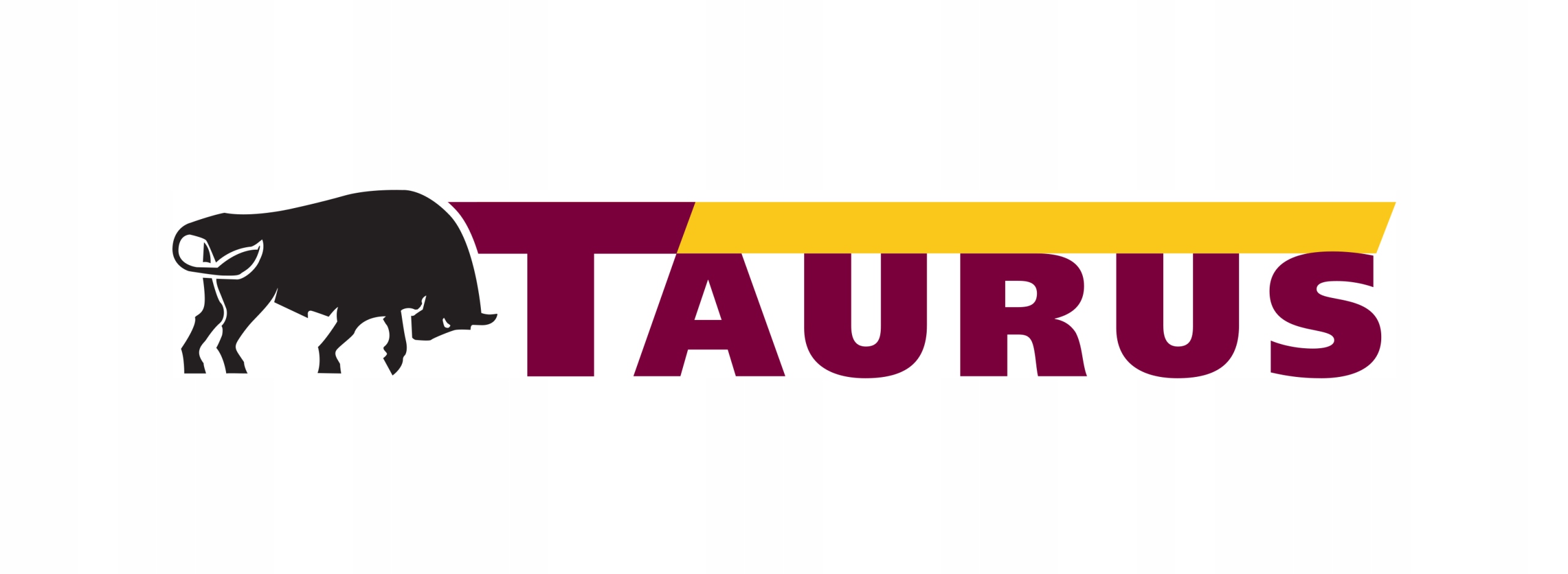 1x TAURUS WINTER 215/65R17 99 H Sezon zimowe