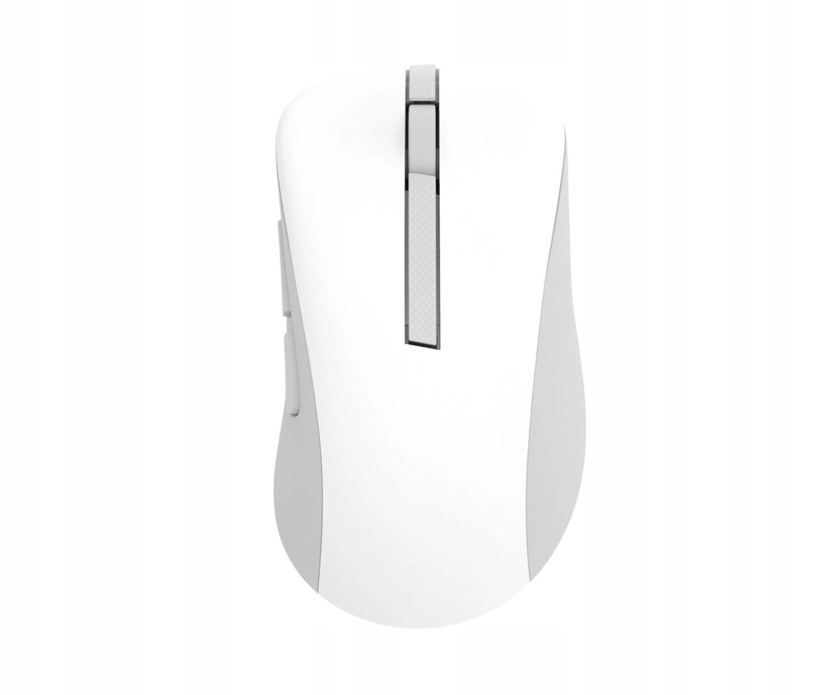 Myszka bezprzewodowa Asus MD102 Bluetooth 2,4GHz 1600DPI optyczna Biała