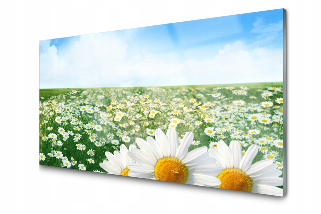 

Panel szklany Płytka Stokrotki Kwiaty 140x70