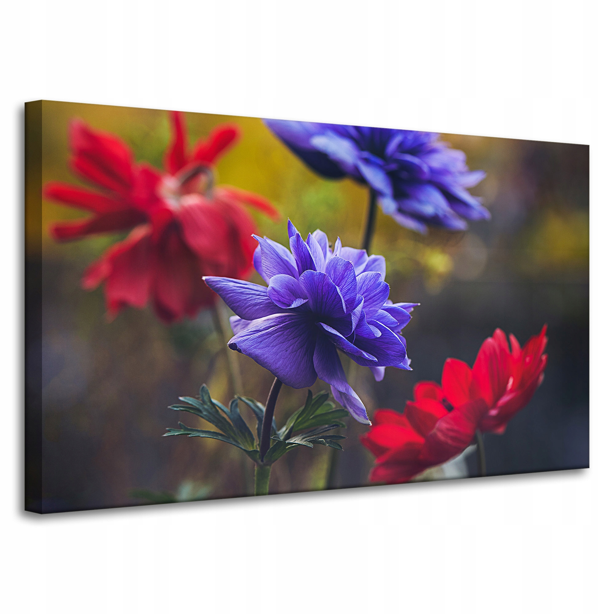 Obraz Canvas Botanika Květiny Krvavý Fialový 100x60