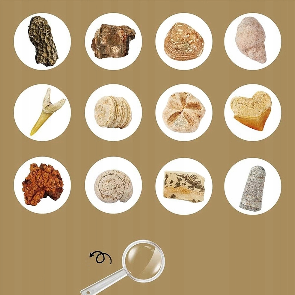 KOPALNIA WYKOPALISKA SKAMIELINY ARCHEOLOG ZESTAW Marka bez marki