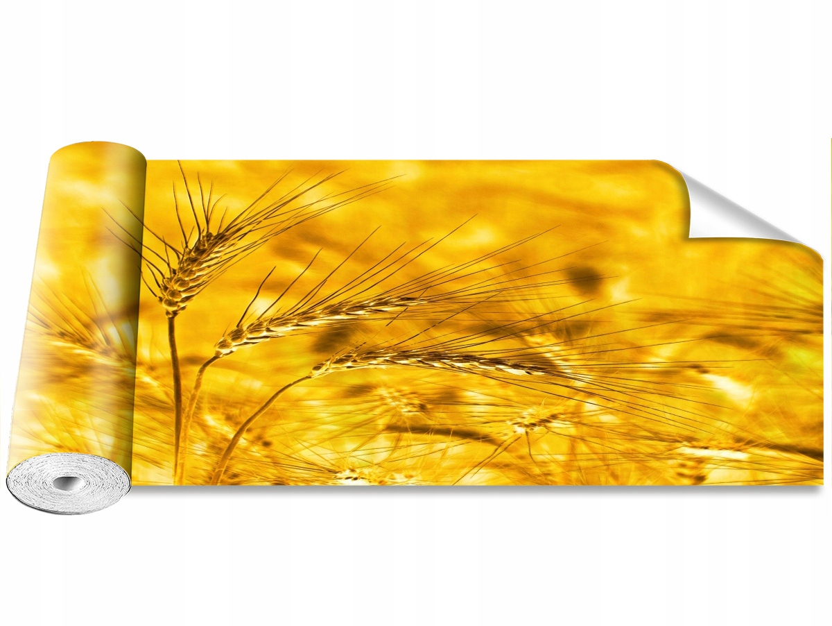 

Tapeta Samoprzylepna Pole pszenicy 250x104