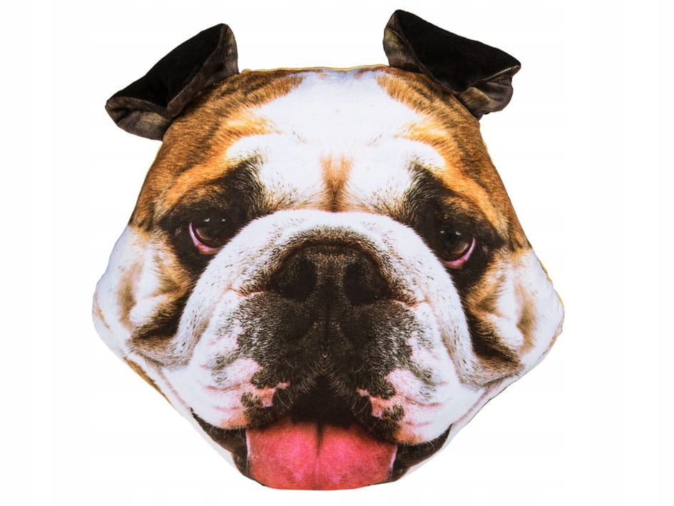 

Poduszka buldog 40 cm