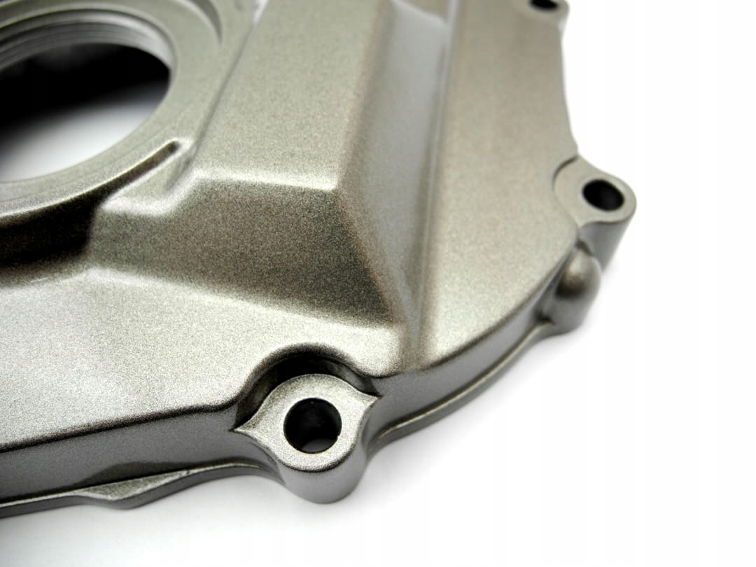 5903824828728 - НАКЛЕЙКА ДВИГАТЕЛЯ HONDA HORNET 600 1998-2007