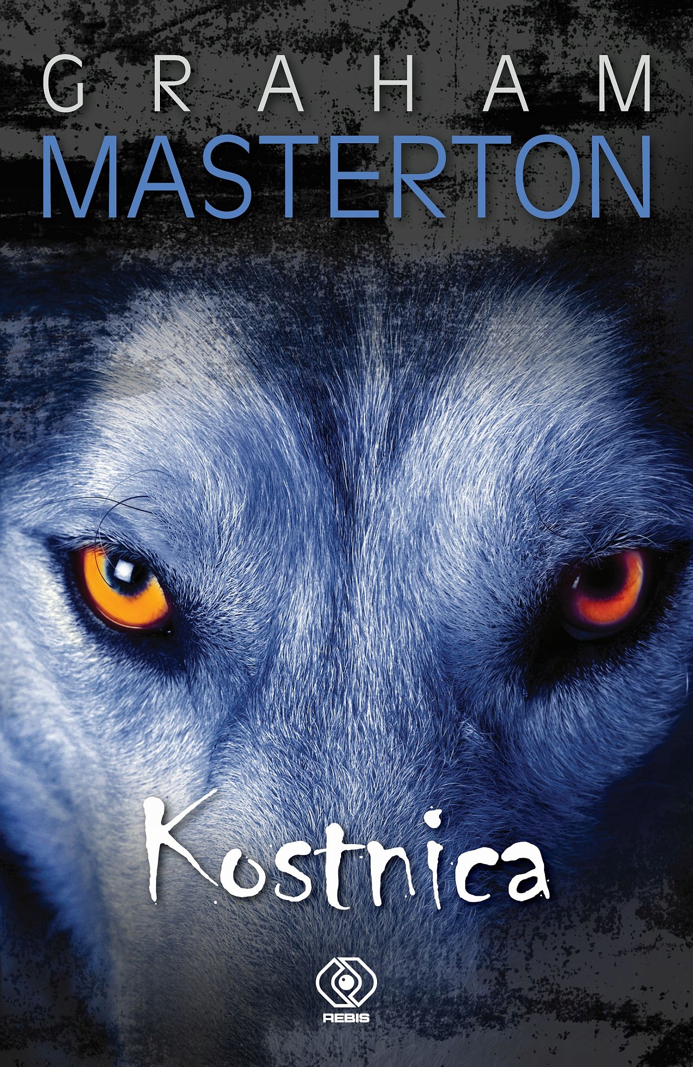 (e-book) Kostnica