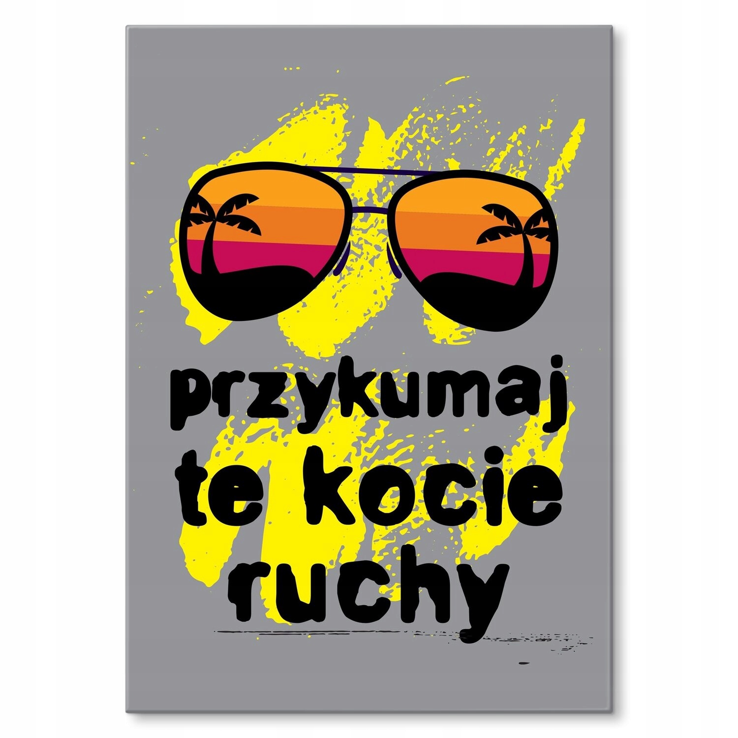 Kovový plakát Upoutejte kočičí pohyby Dárek 42 x 59 cm