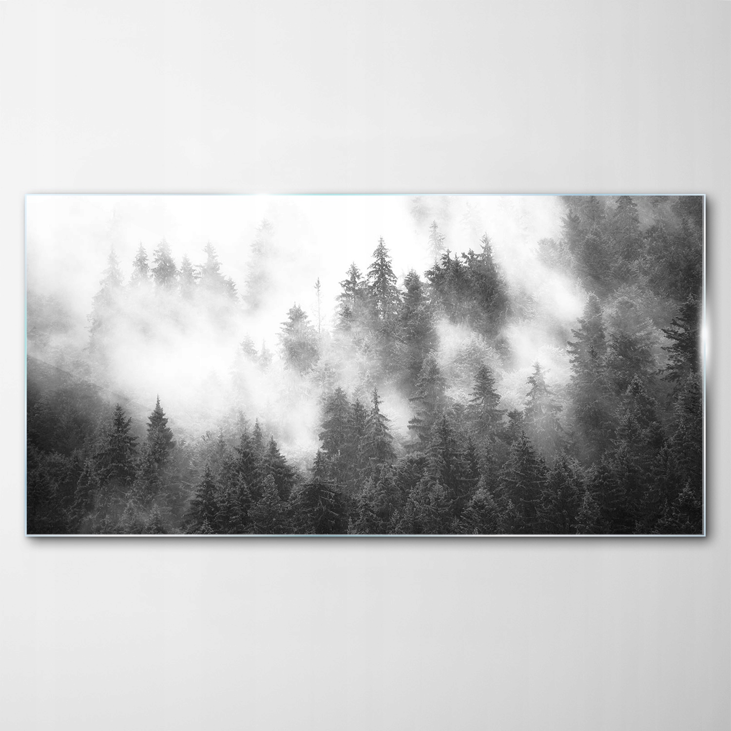 Obraz na skle Dekor Krajina Hmla Les 100x50