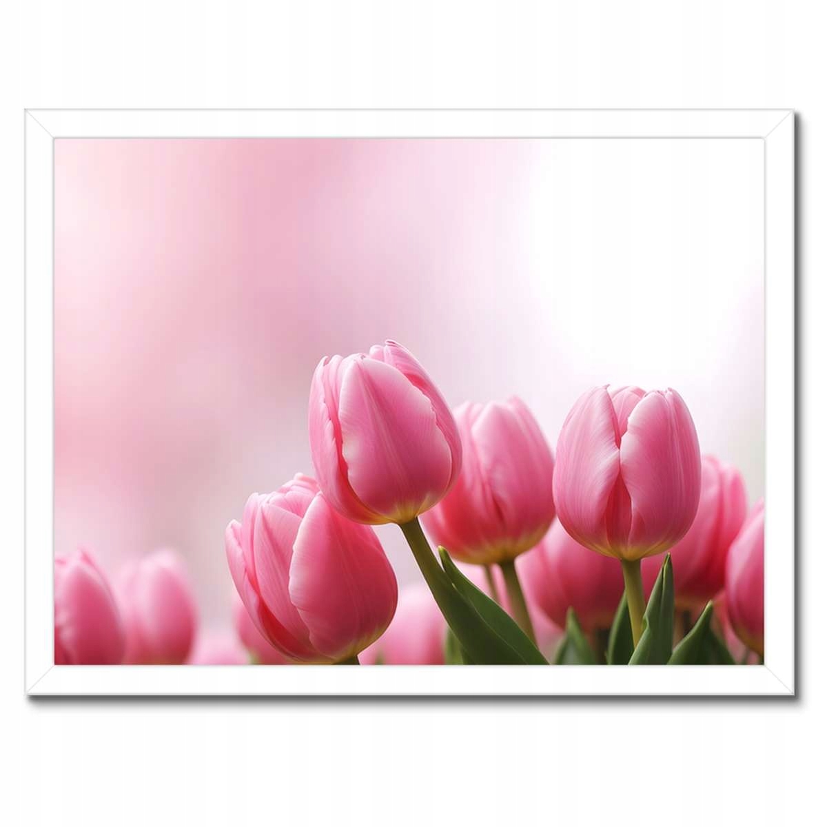 Plakáty v rámu 40x30 Růžové tulipány
