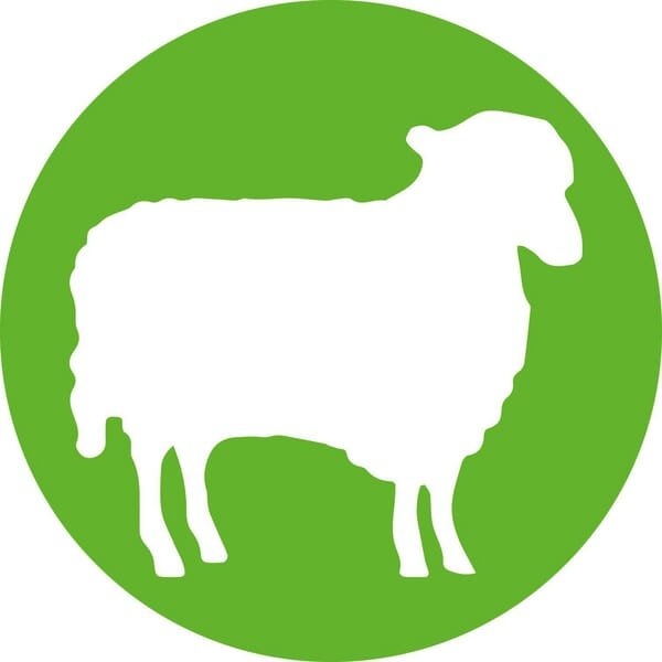 Strzykawka TU-Flex-Master A 10 ml LL 8300028713 Kod producenta 8300028713