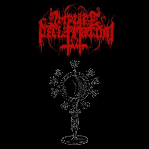 Impure Declaration- No Paths, No Guide (CD)