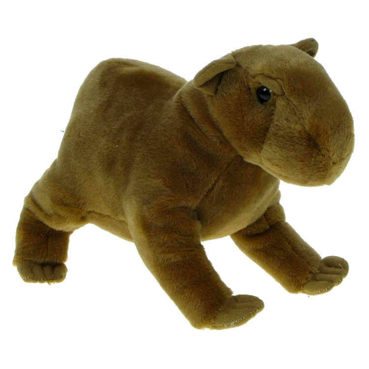 

Zoo: maskotka Kapibara 25cm (11097)