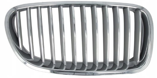 Blic 6502-07-0067996P решетка радиатора