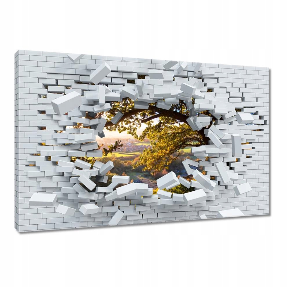 

Obrazy 60x40 Widok na dolinę