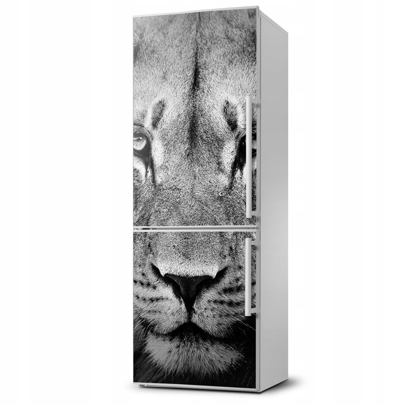 

Foto Magnes na lodówkę na lodówkę Portret lwa XL